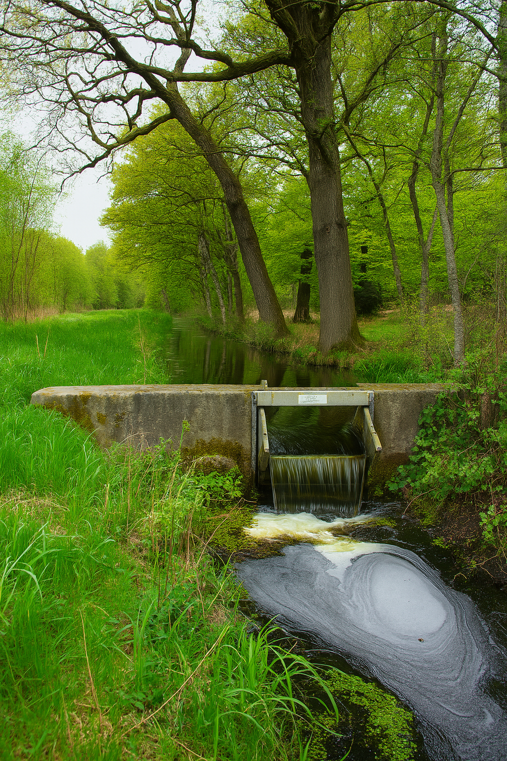 Speulderbos losloopgebieden gelderland welkoop